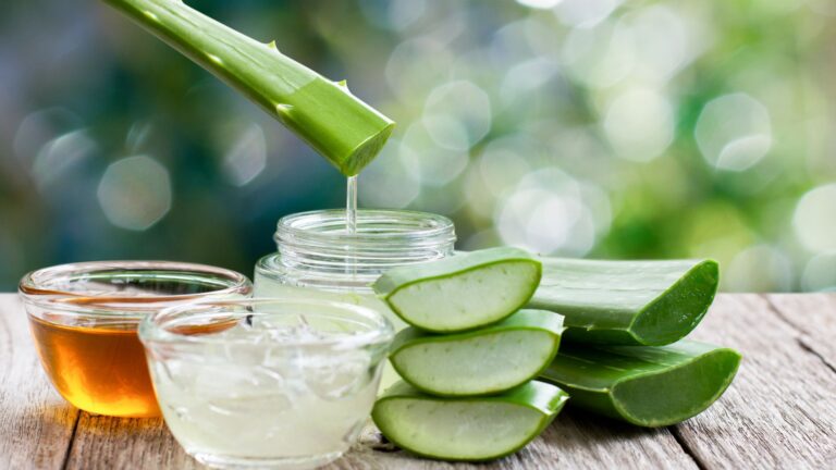 aloes-zastosowanie-w-kosmetyce